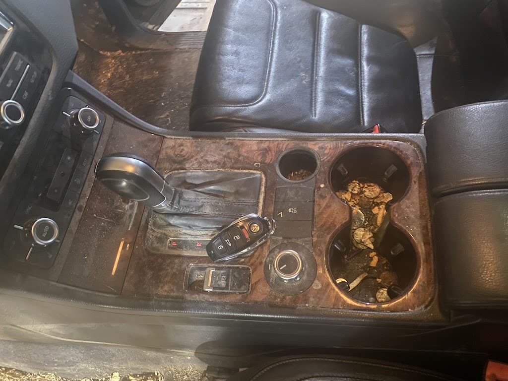 Auto Empire Detailing LLC featured