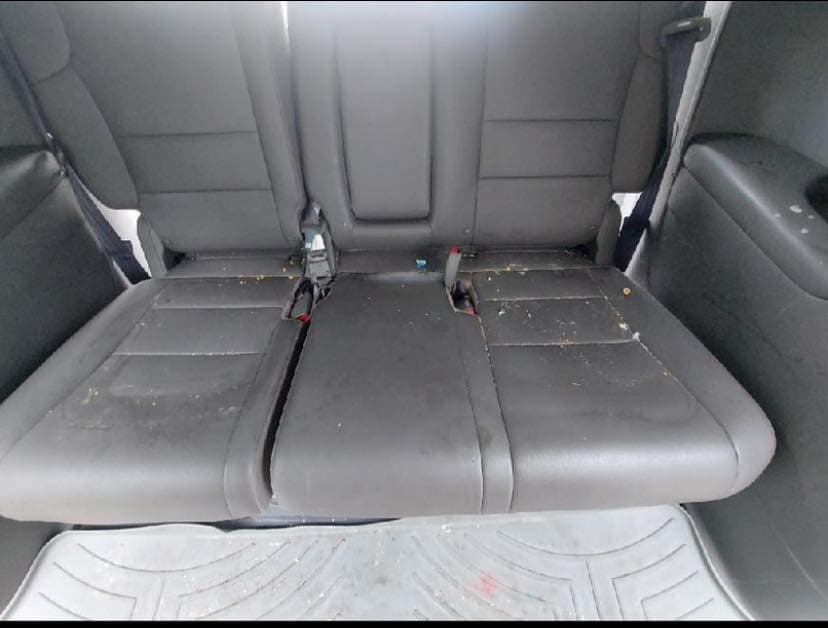 Zach's Mobile Auto Detailing featured