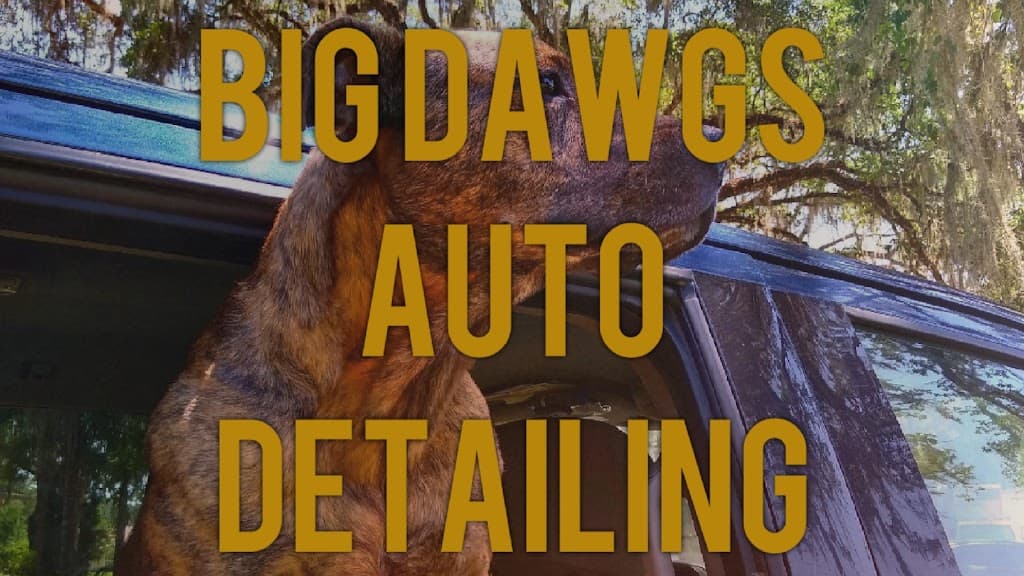 Big Dawgs Auto Detailing featured