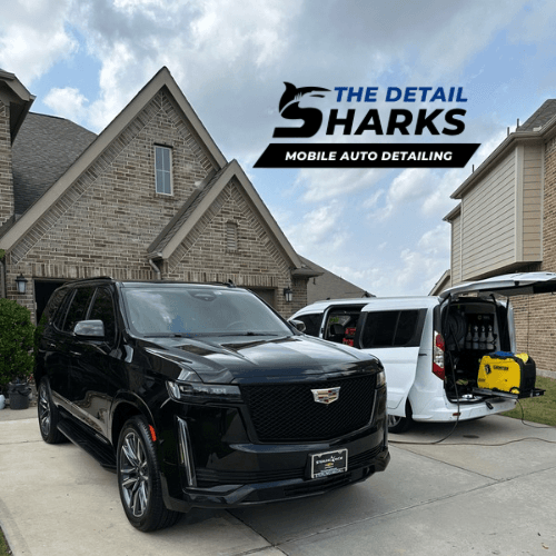 The Detail Sharks - Mobile Auto Detailing featured