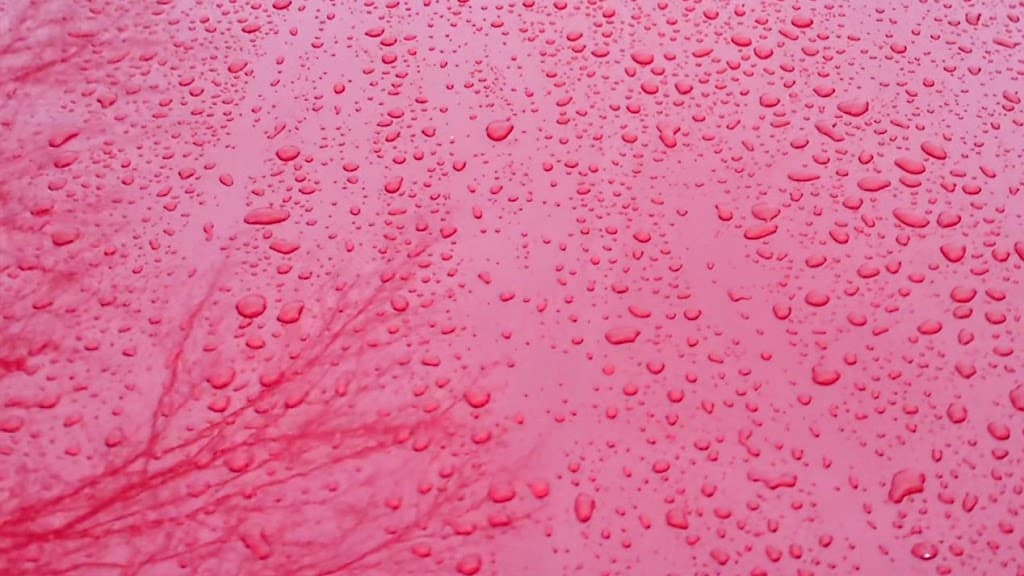 Young Mobile Detailing featured