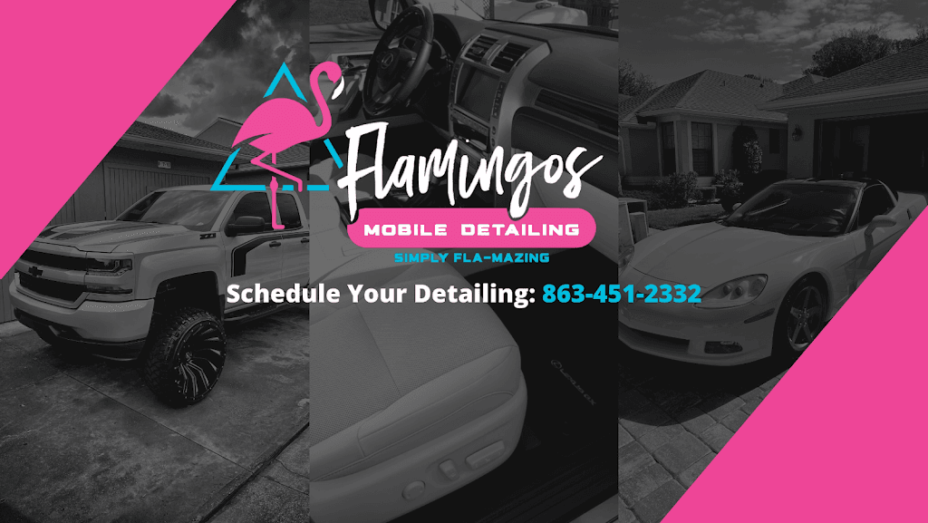 Flamingos Mobile Detailing LLC featured