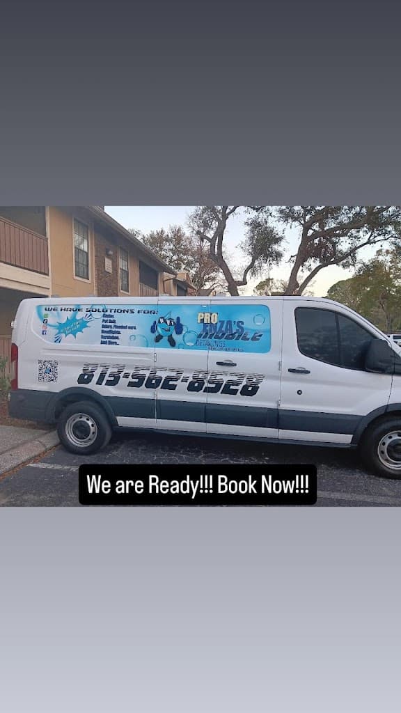 PROENZA'S MOBILE DETAILING LLC featured