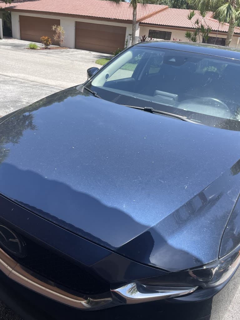 Pristine Car Detailing Bradenton featured