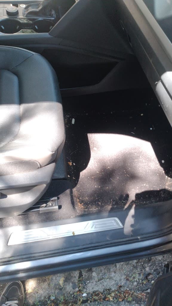 Rogue Valley Mobile Detailing featured