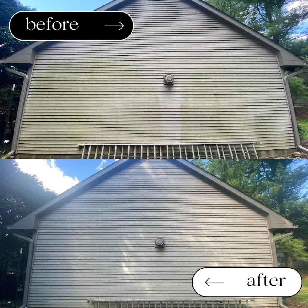 Squeaky Clean Group featured