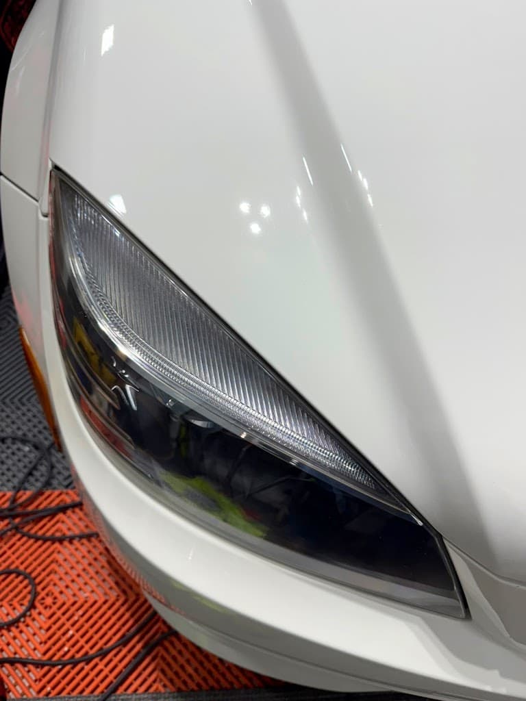 Top Level Detailing featured