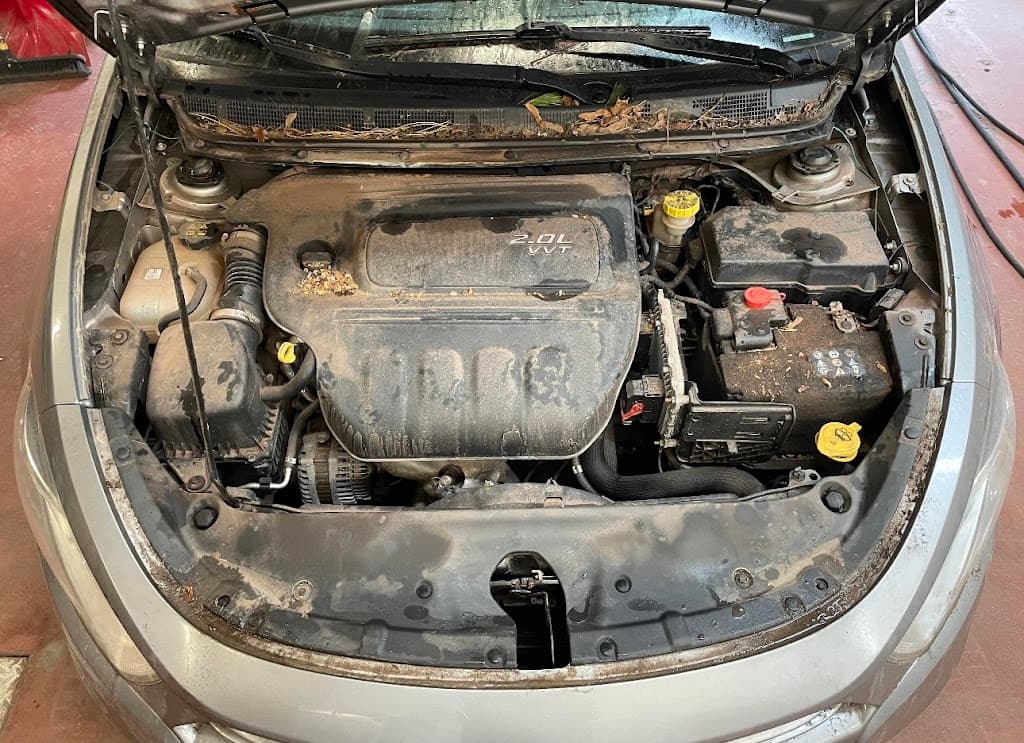 Enhanced Auto Detailing featured