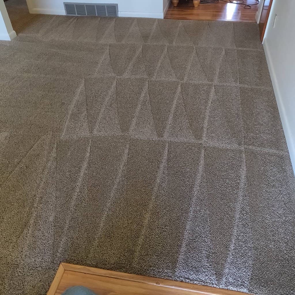 Blitz Carpet Care & Auto, LLC featured
