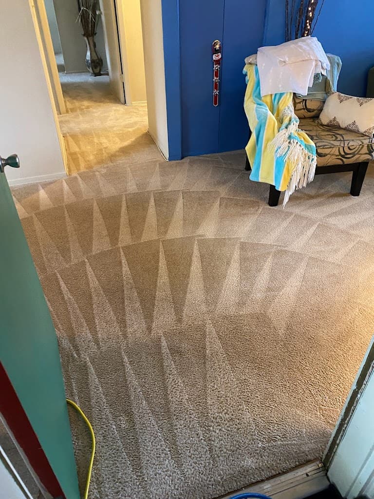 Izzys Carpet & Upholstery Cleaning featured