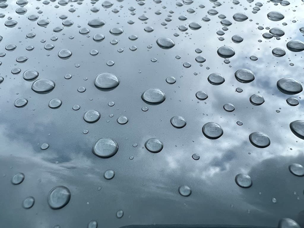 Stay in your lane auto detailing featured