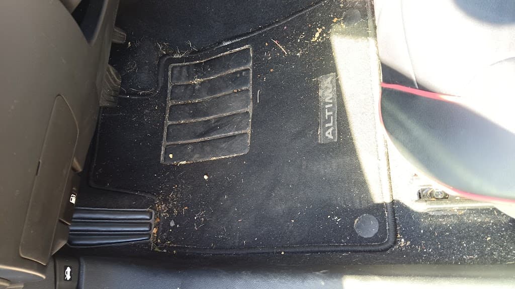 Detailing Done Right LLC featured