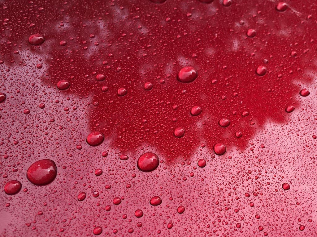 Jason's Auto Detailing featured