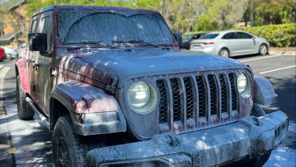 Sunny Mobile Detailing LLC - Business Image