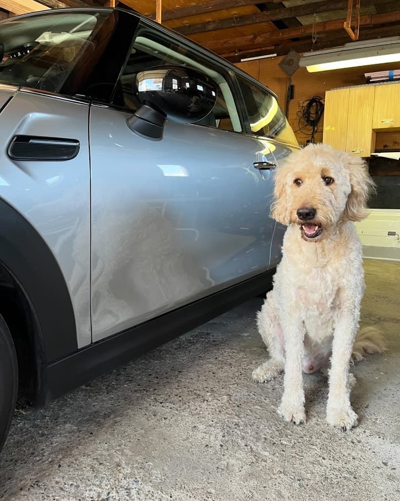la belle auto detailing featured