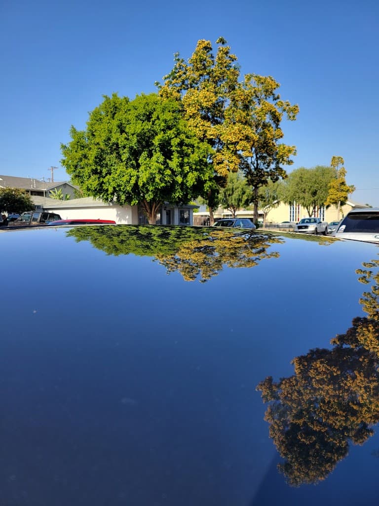 DLR Mobile Detailing featured