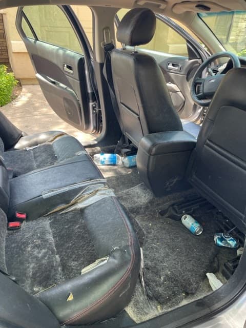 Dirty Bird Auto Detailing featured
