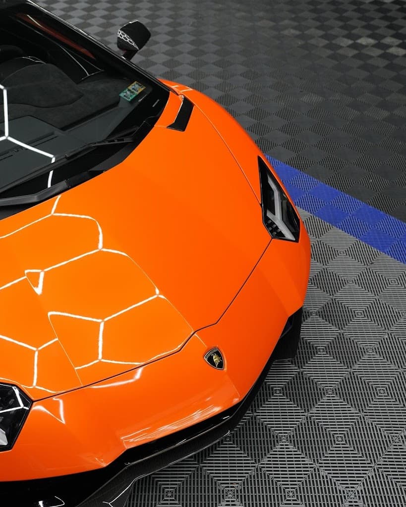 Rex Wraps featured