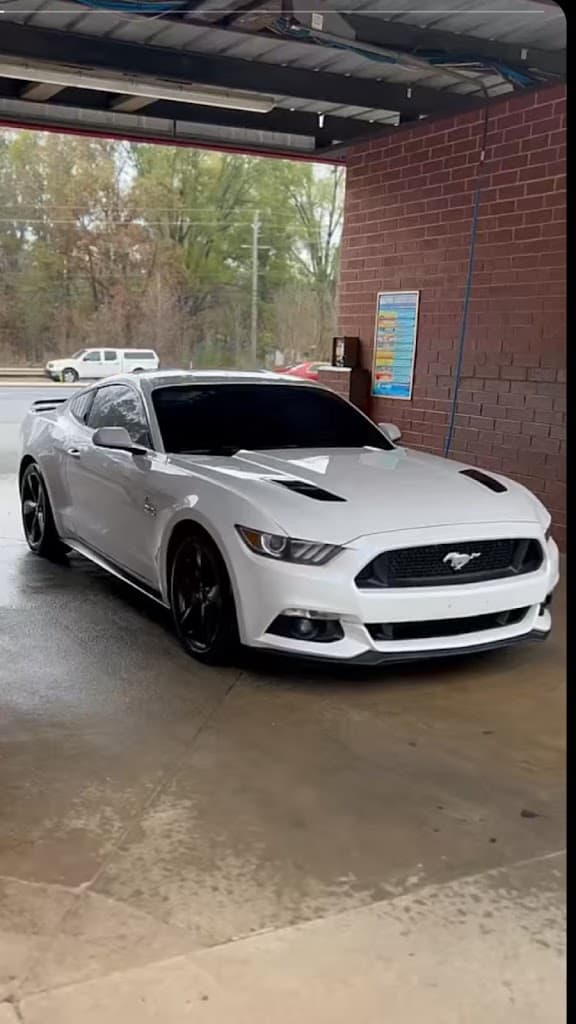 Zay's detailing featured