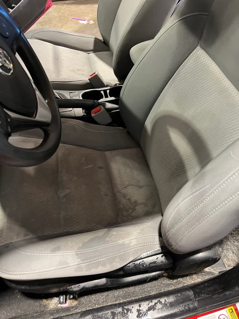 Bader Auto Detailing featured