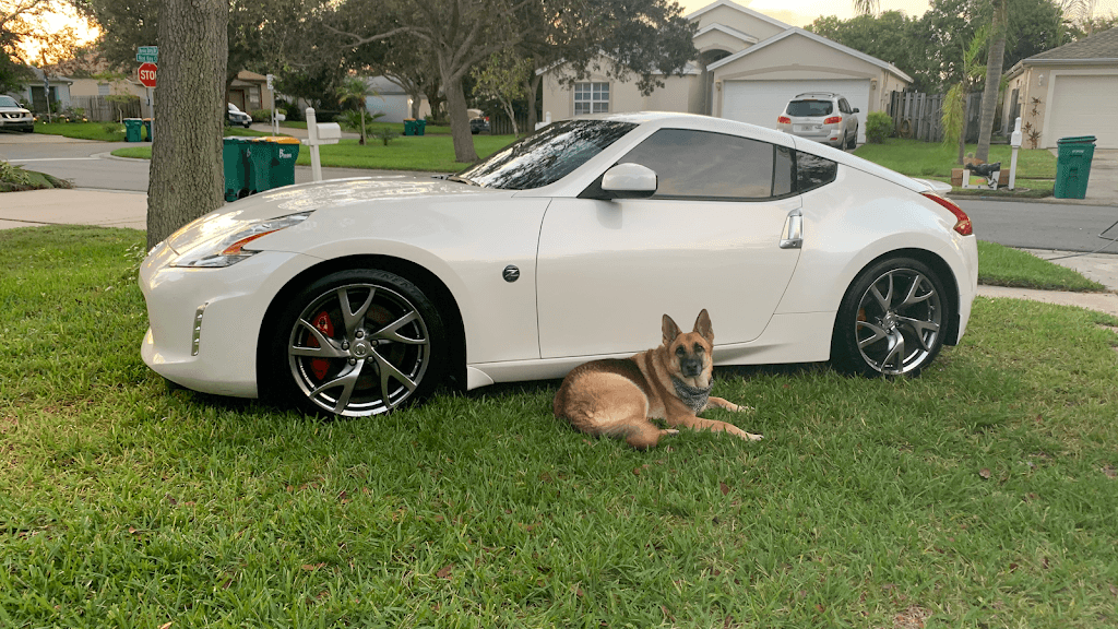 Gio's Mobile Detailing LLC featured