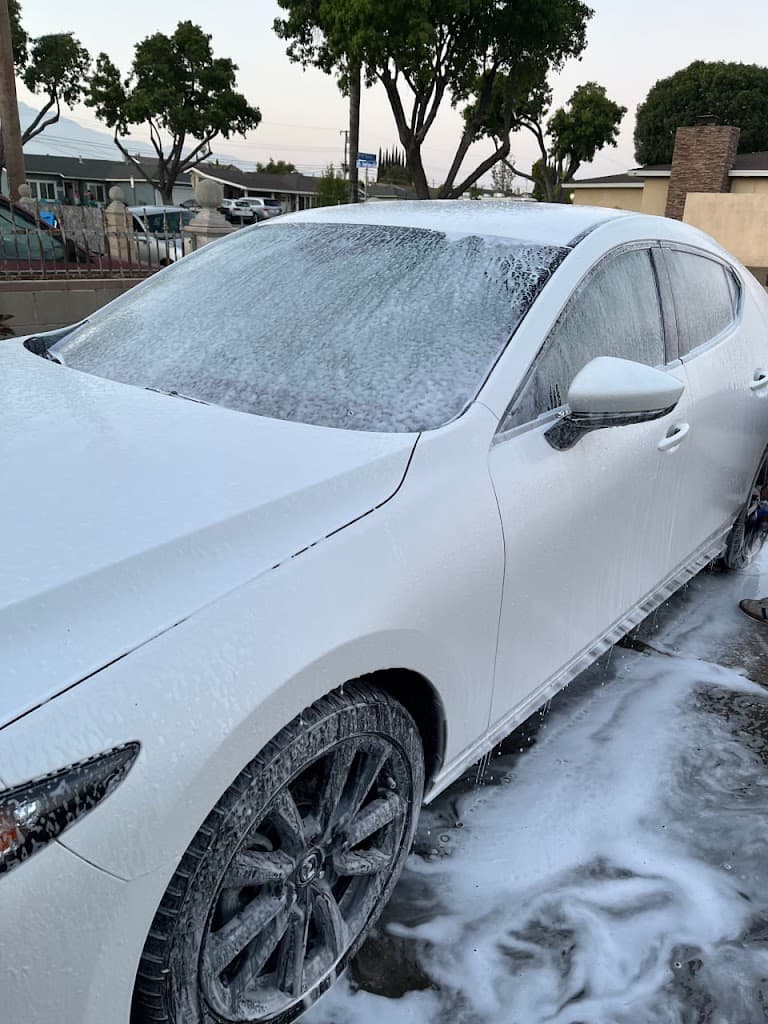 Zelfo Detailing featured