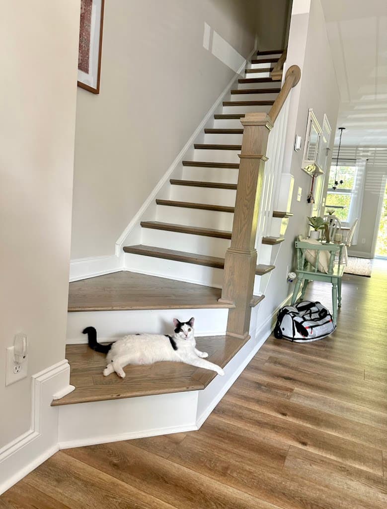 Hubbard Home and Auto Cleaning Co featured