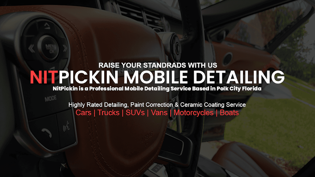 NitPickin Mobile Detailing featured