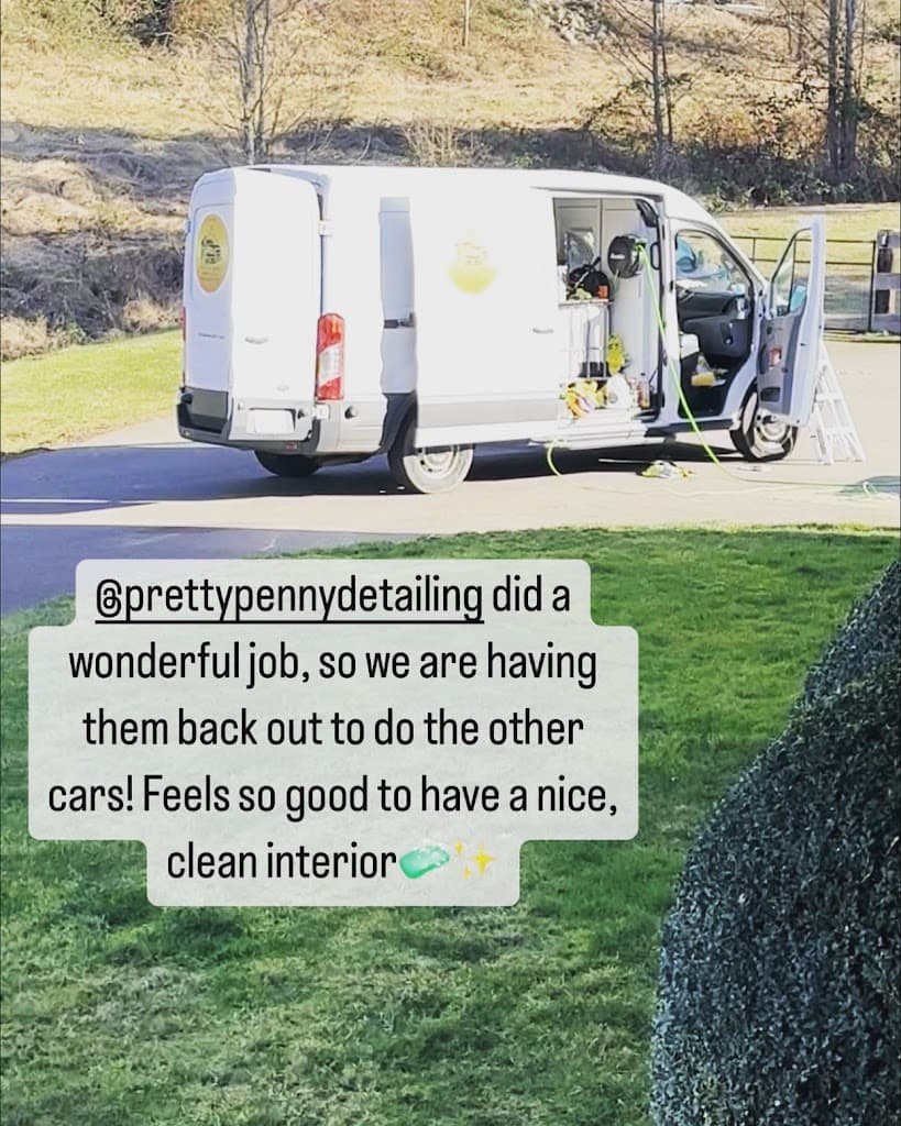 Pretty Penny Mobile Detailing featured